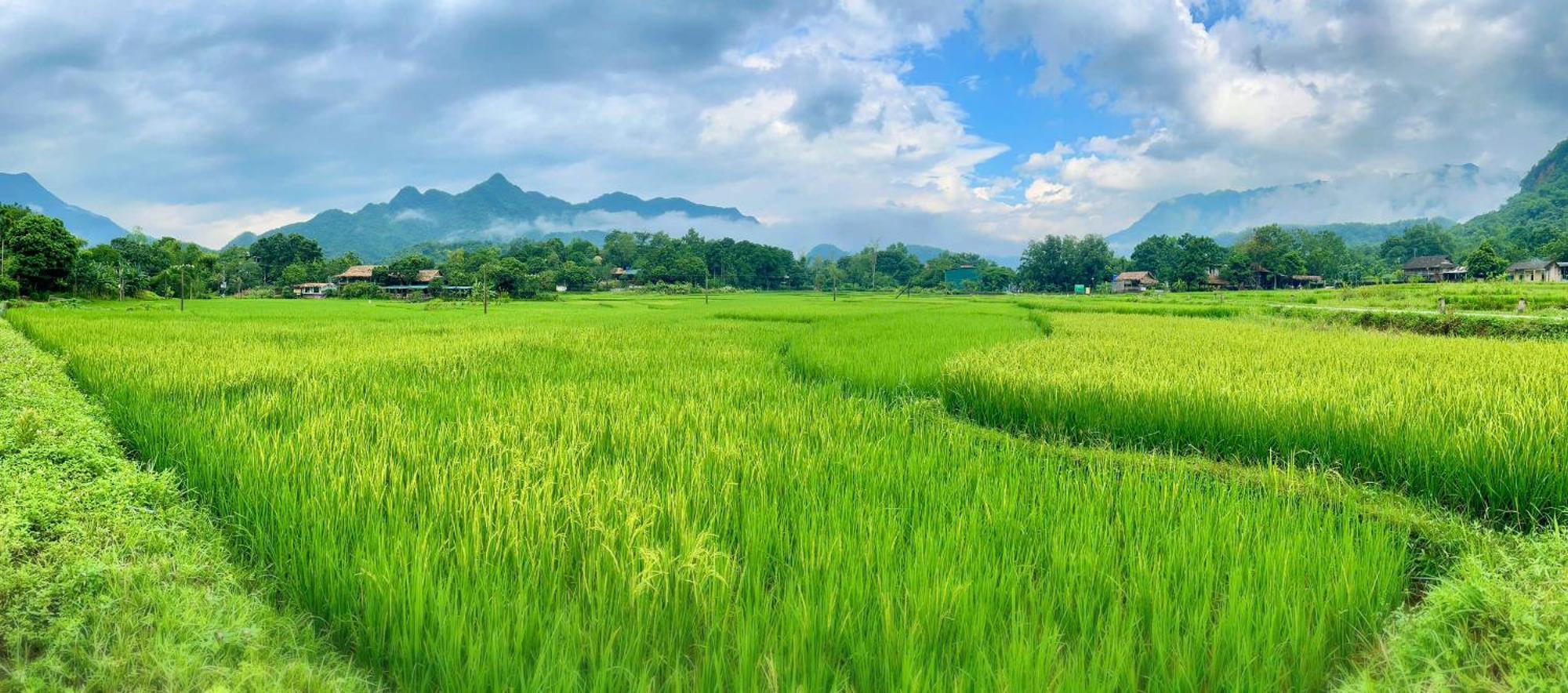 Mai Chau Sky Resort Kültér fotó