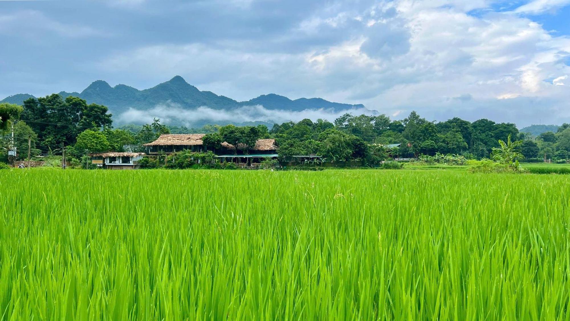 Mai Chau Sky Resort Kültér fotó